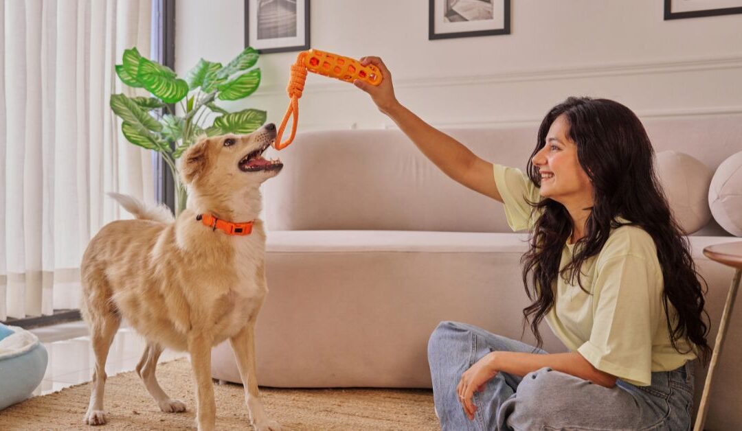 A Pet Parent’s Security Guide: Why Pet Identification & Tags Are Essential Today